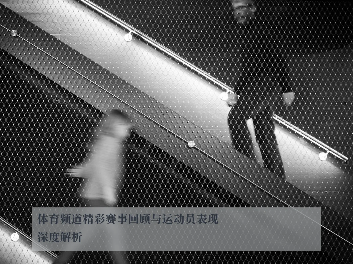 体育频道精彩赛事回顾与运动员表现深度解析